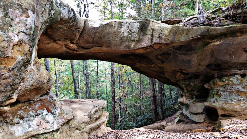 Princess Archway Red River Gorge