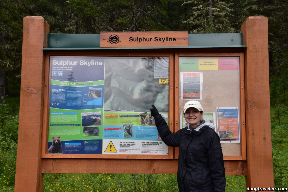 Sulpher Ridgeline Jasper National Park (7) (Copy)