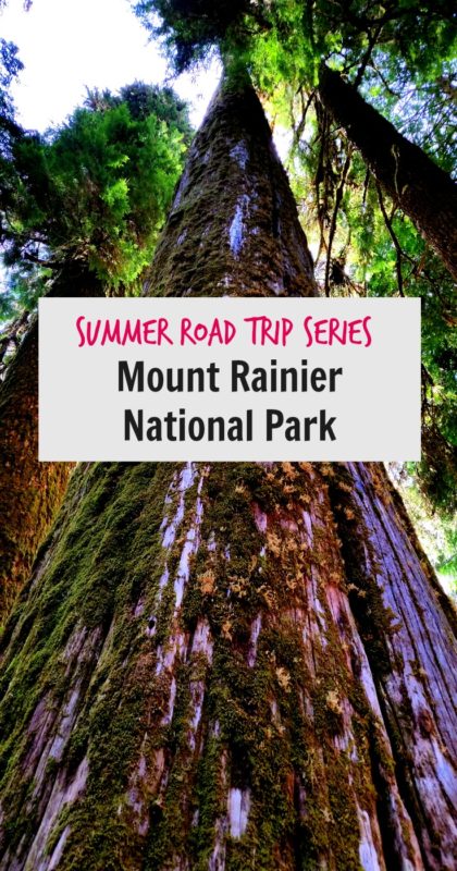 Mt Rainier National Park Sunrise Pin