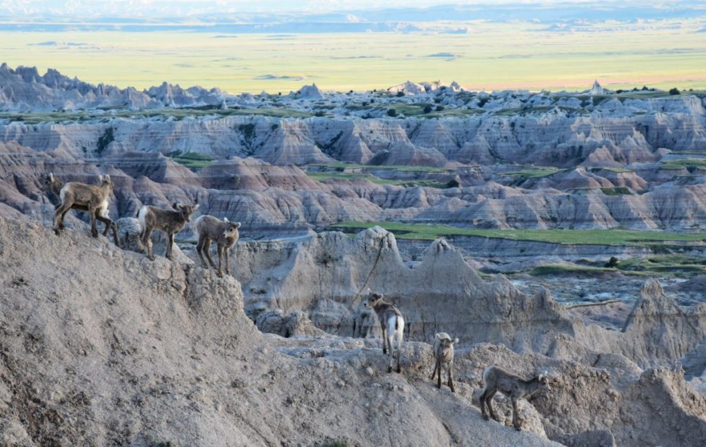 Things to do Badlands