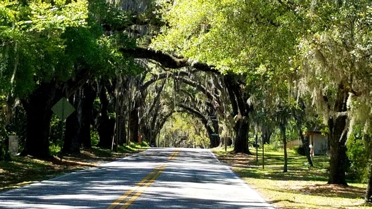 Come along for a ride on one of Florida's longest paved paths, the Withlacoochee State Trail. Here's all the information you need to make your trip unforgettable!