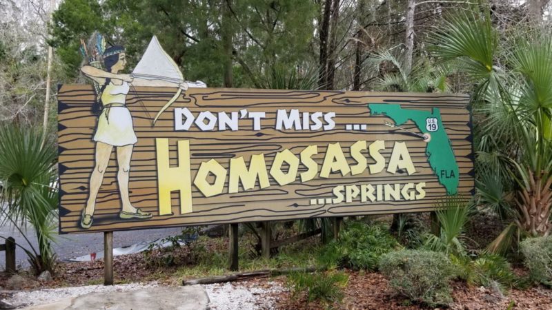 Homosassa Springs Wildlife State Park is located in Citrus County and is known fondly as Florida's nature coast. Here you are guaranteed to see manatees, the gentle giants of the sea, and other native wild animals such as black bears and bobcats in their natural habitat.