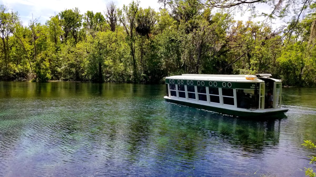 Silver Springs State Park is Florida's oldest tourist attraction. Come with us as we go back in time while we explore the springs today. Did someone say wild monkeys and glass bottom boats?