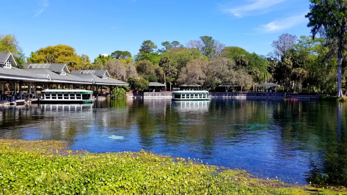 Silver Springs State Park is Florida's oldest tourist attraction. Come with us as we go back in time while we explore the springs today. Did someone say wild monkeys and glass bottom boats?