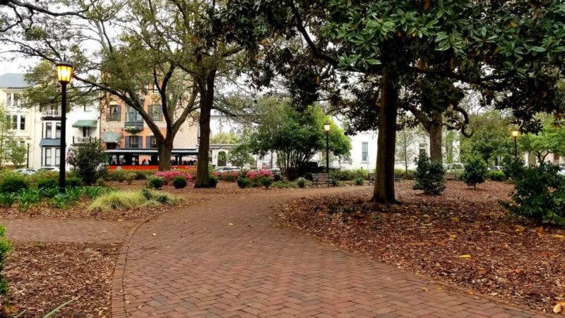 One of America's oldest cities, Savannah tops the list as a favorite for many. To make your first visit memorable, we've put together a list of 20 Savannah things to do!