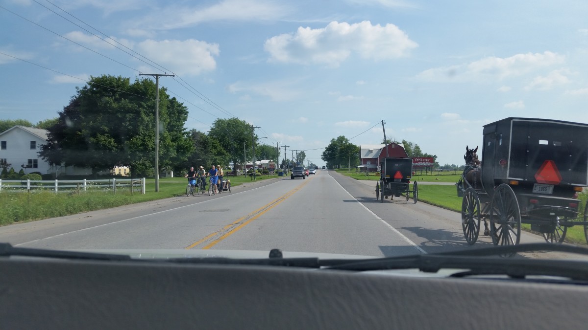 Amish Buggy