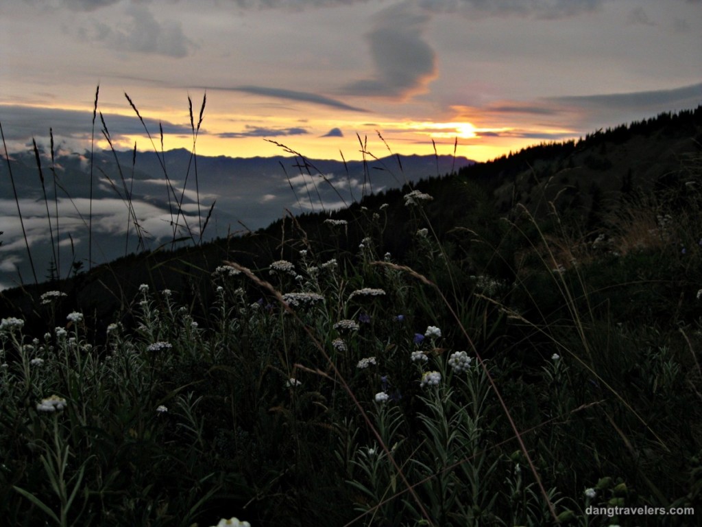 Flowers and Sunset - Olympic National Park