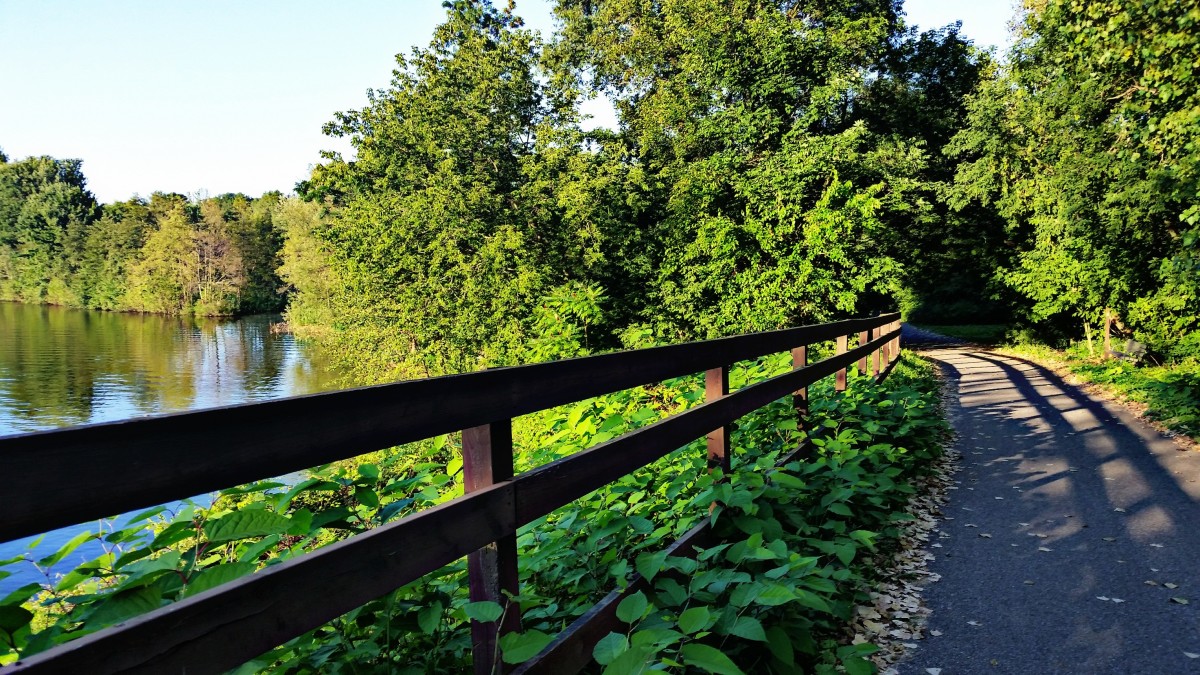 A paved section of the Kal-Haven Trail lined with green trees.