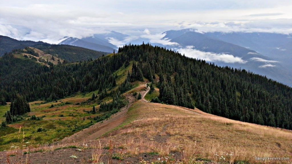 Klahhane Ridge - Olympic National Park