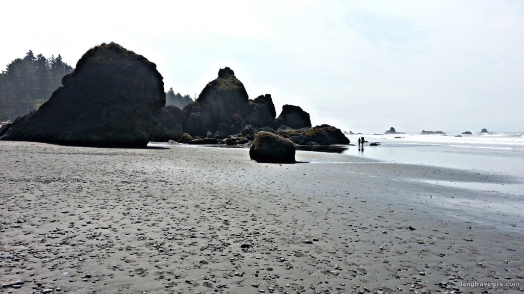 Rialto Beach Rocks - Olympic National Park