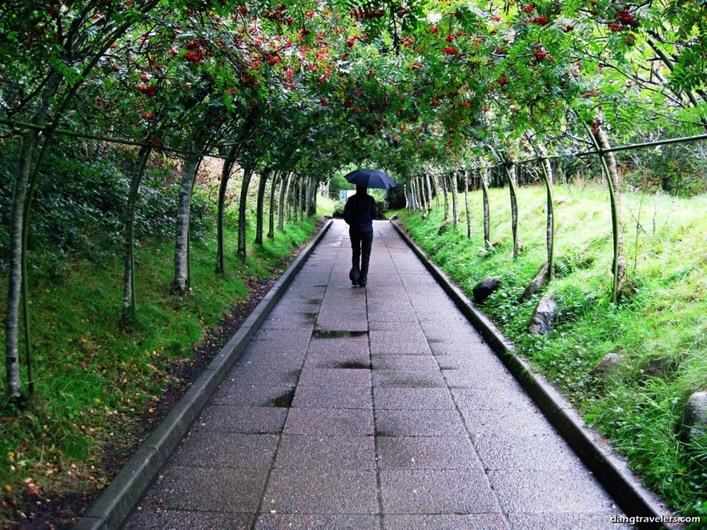 Glenveaugh Castle & Gardens - Ireland Photos