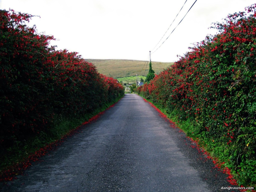 Dingle Peninsula - Ireland Photos