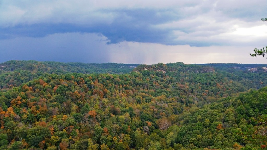 Chimney Top Rock Trail View