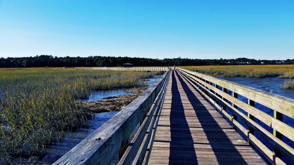 Pier at Huntington Beach State Park