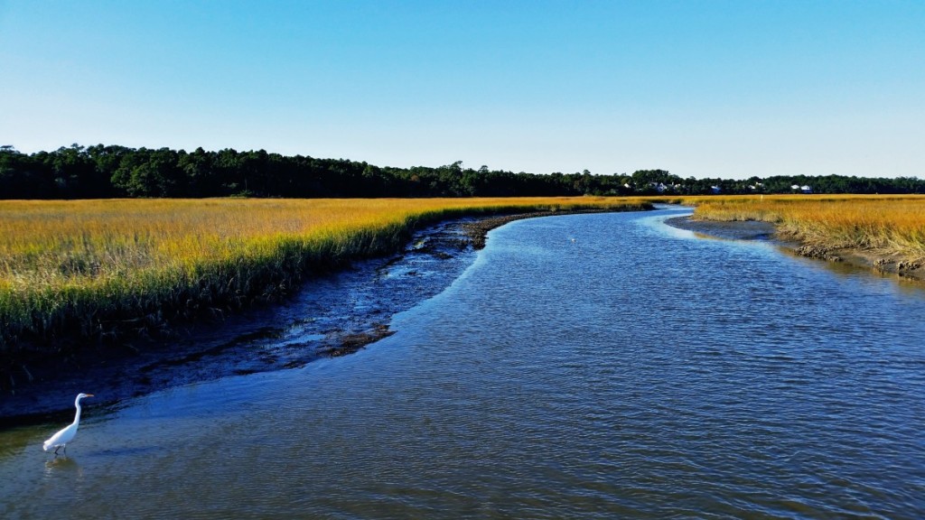 Bird watching at Huntington State Park