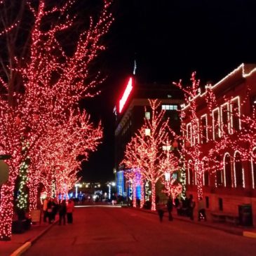 Anheuser Busch Brewery Lights Up at Christmas