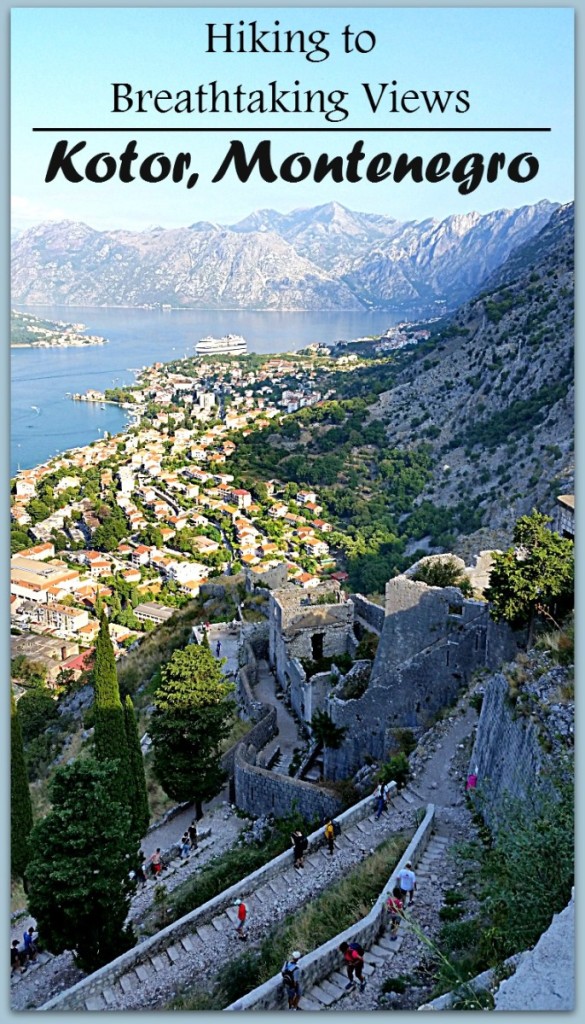 Hiking Views Kotor Montenegro