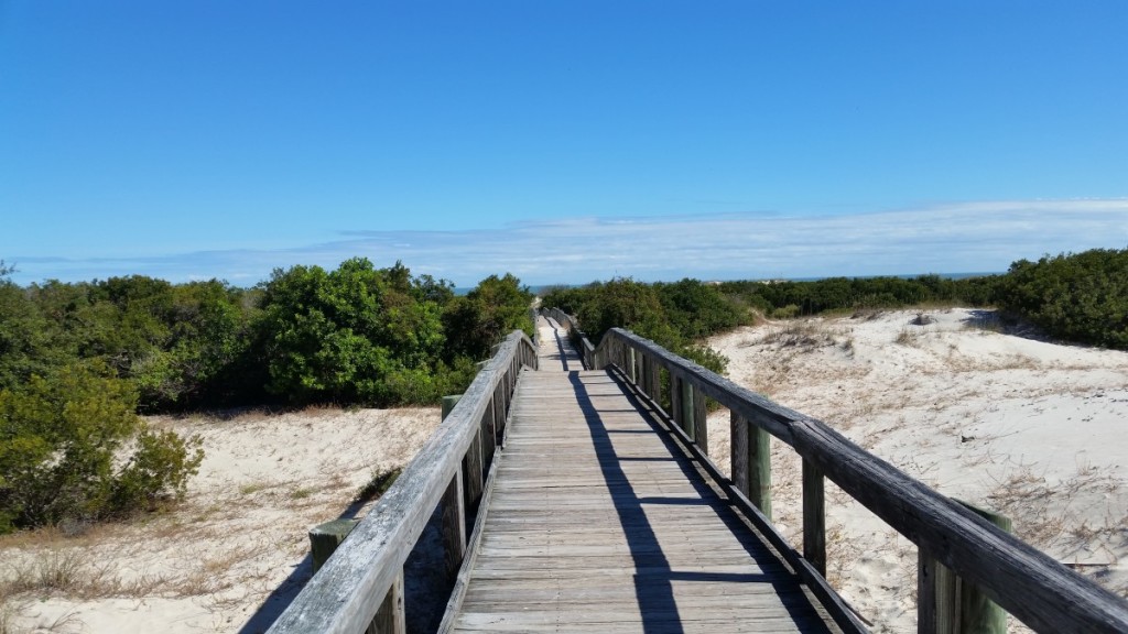 Cumberland Island Beach