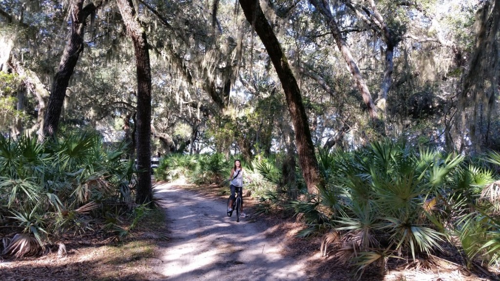 Cumberland Island Biking