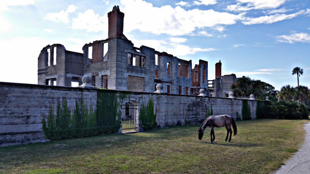 Dungeness Ruins on Cumberland Island