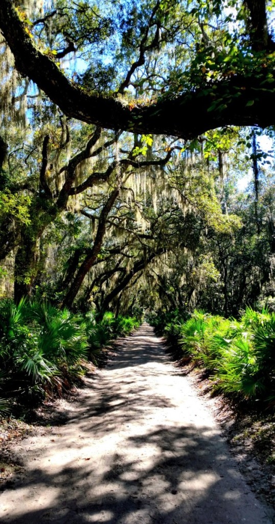 Cumberland Island