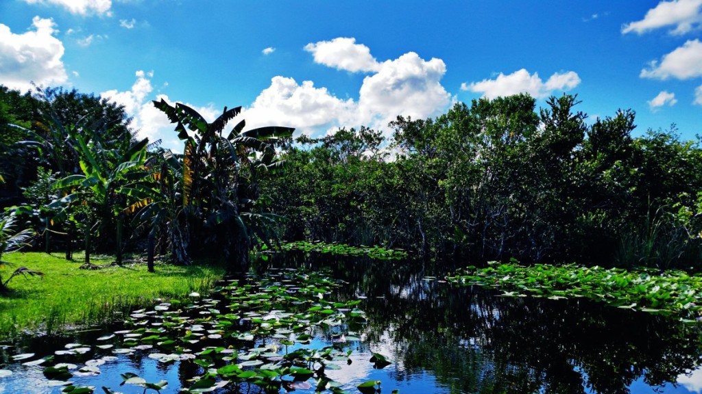 Everglades Safari Park