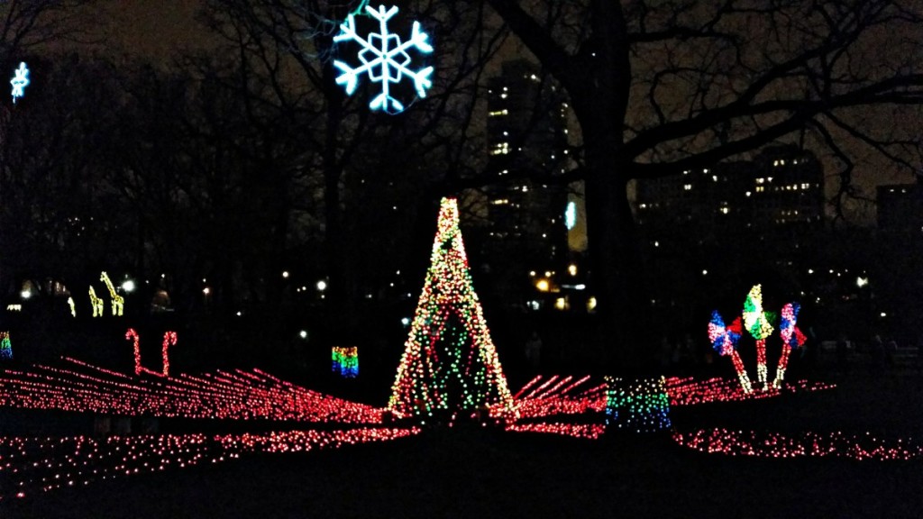 Lincoln Park Zoo Lights - Monthly Recap