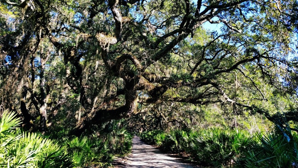 Cumberland Island