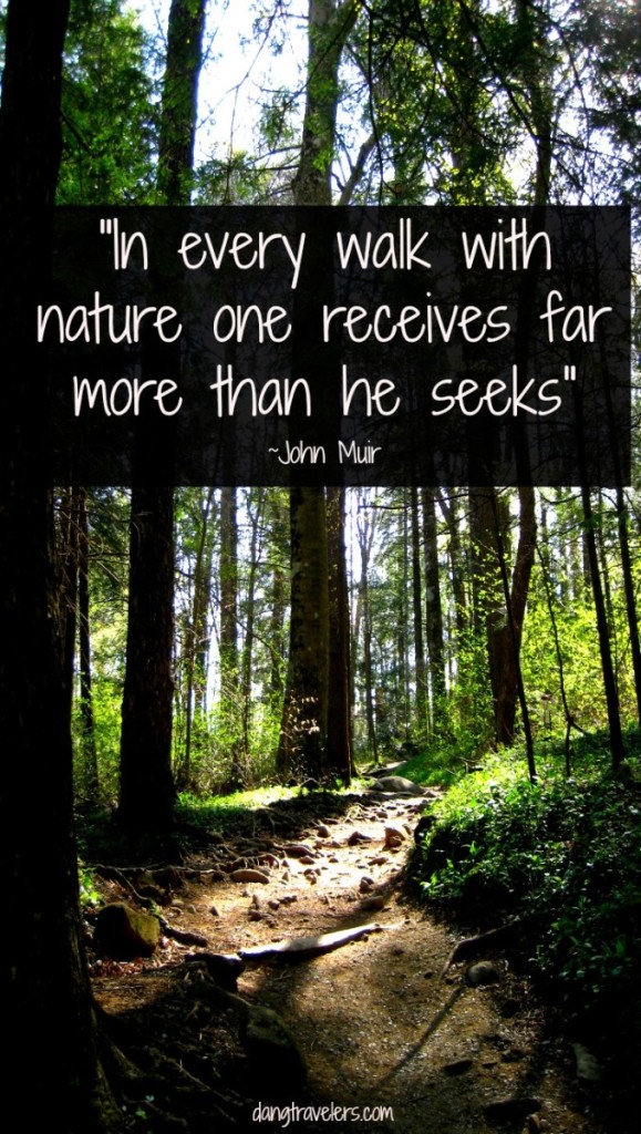 Quotes to Inspire You - Muir