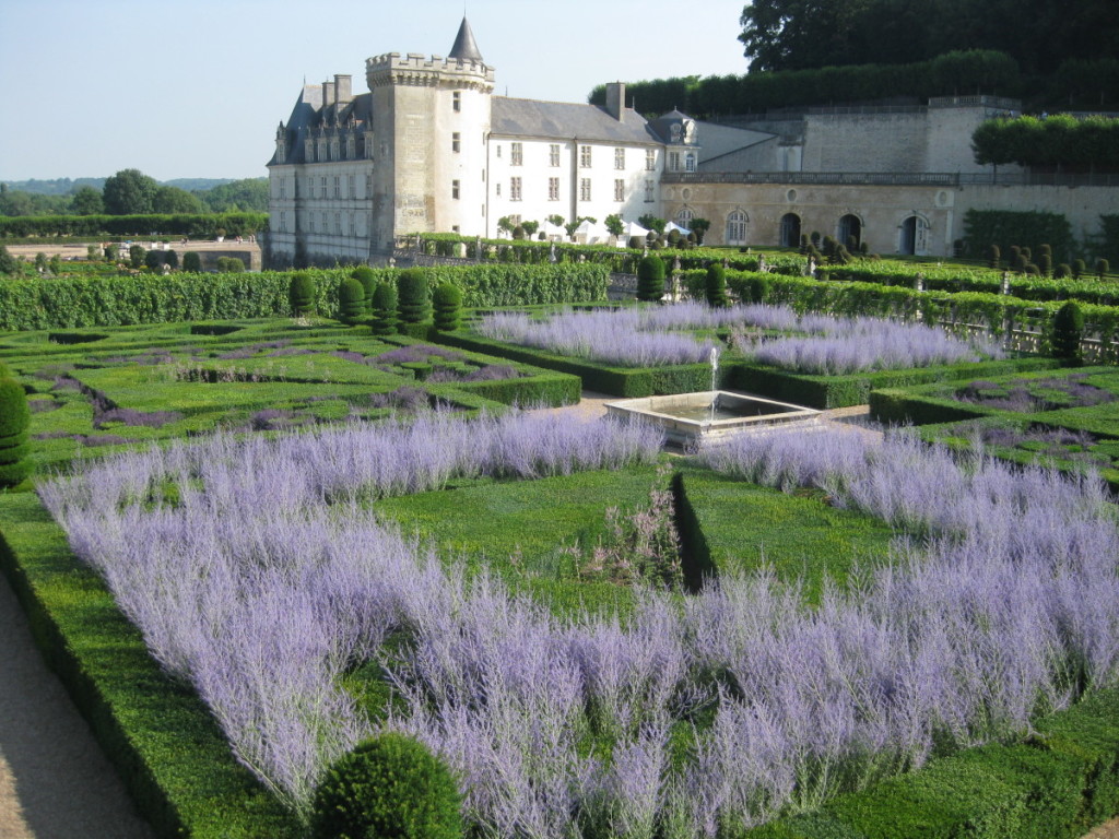 Chateau de Villandry Lavender