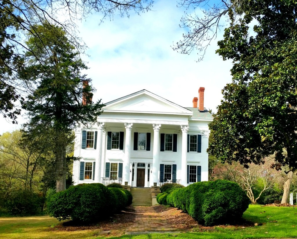 Macon, Georgia Cherry Blossoms