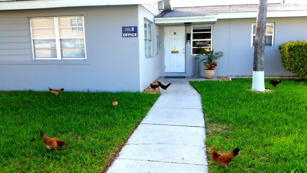 Trailers at Trumbo Point - Key West Vacation Rentals