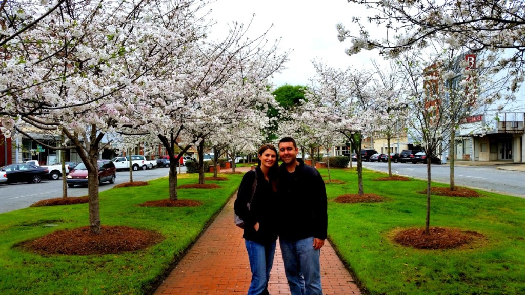 Macon, Georgia Cherry Blossoms