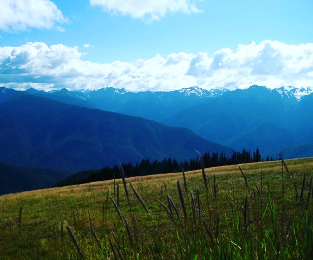 Olympic National Park