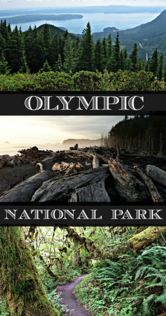 Olympic National Park in Washington should be on your bucket list! 