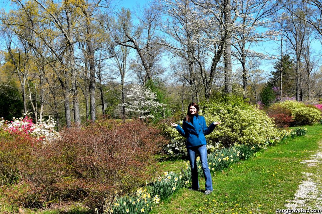 Pinecrest Azalea Gardens Cape Girardeau