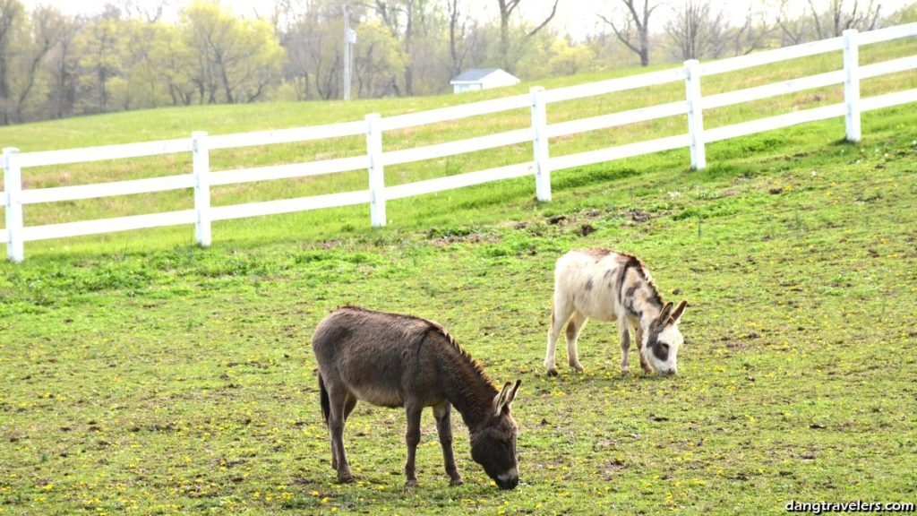 Top things to do in Cape Girardeau includes visiting one of the many wineries in the area.