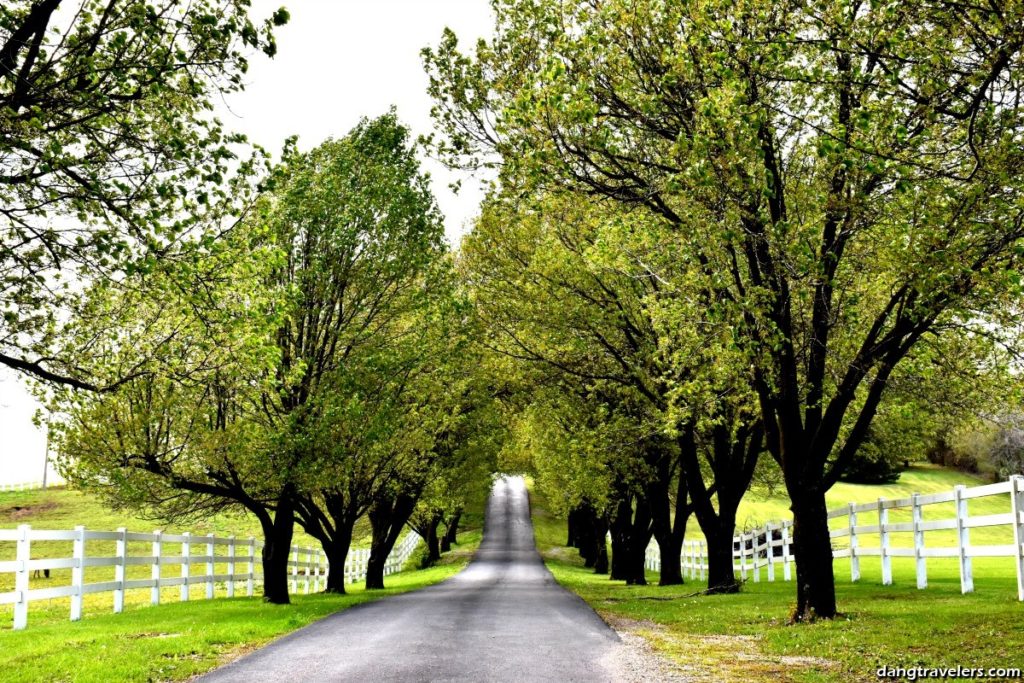 Steele Crest Winery, one of the best things to do in Cape Girardeau for adults. 