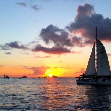 Discover the Top 20 Things to Do in Key West