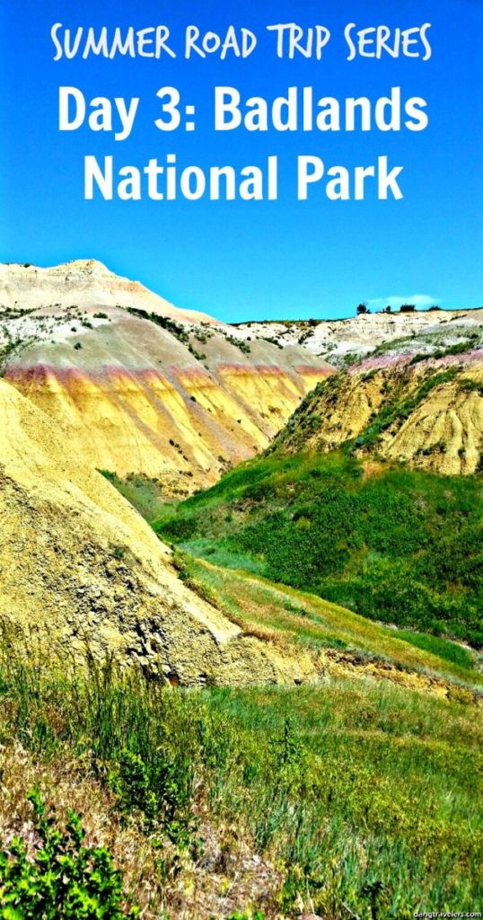 Badlands National Park Pin