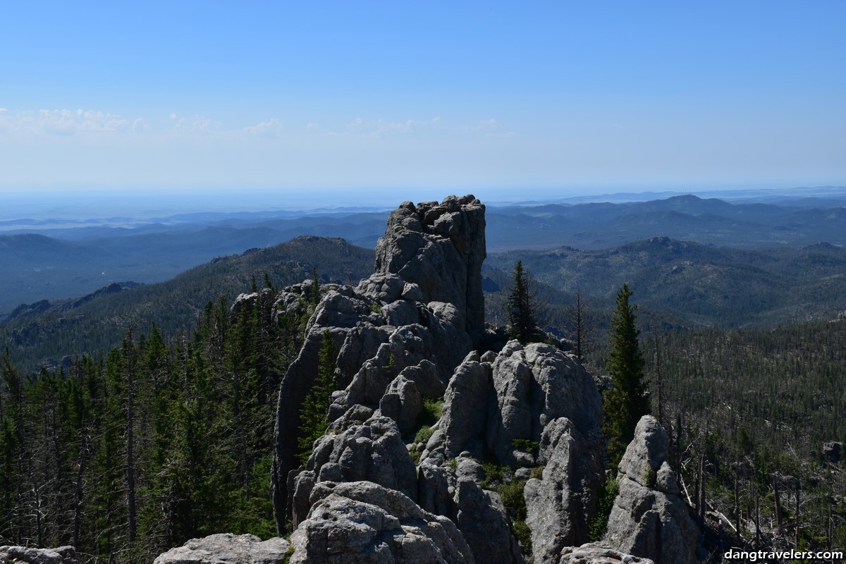 Harney Peak Tower View