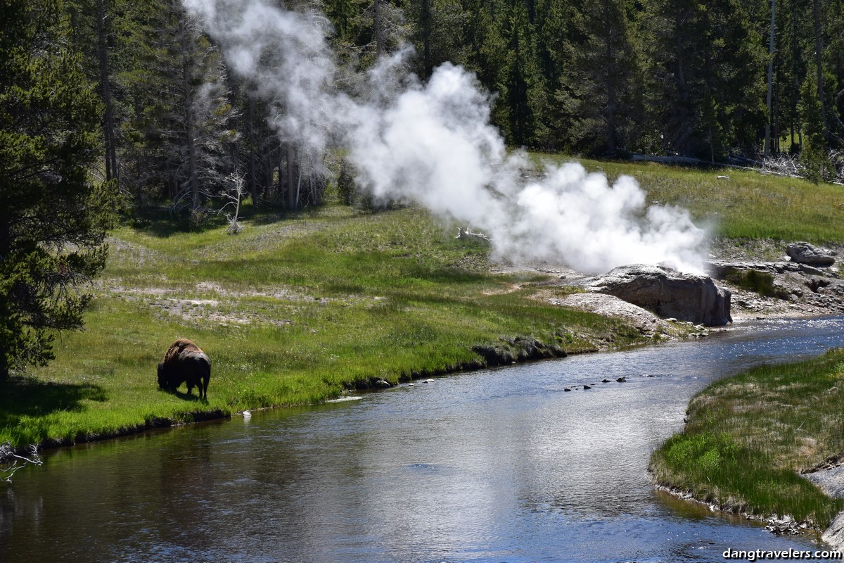 Riverside Geyser 3