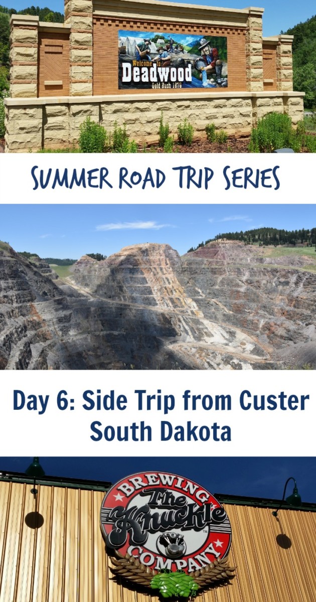 Side Trip Custer Pin