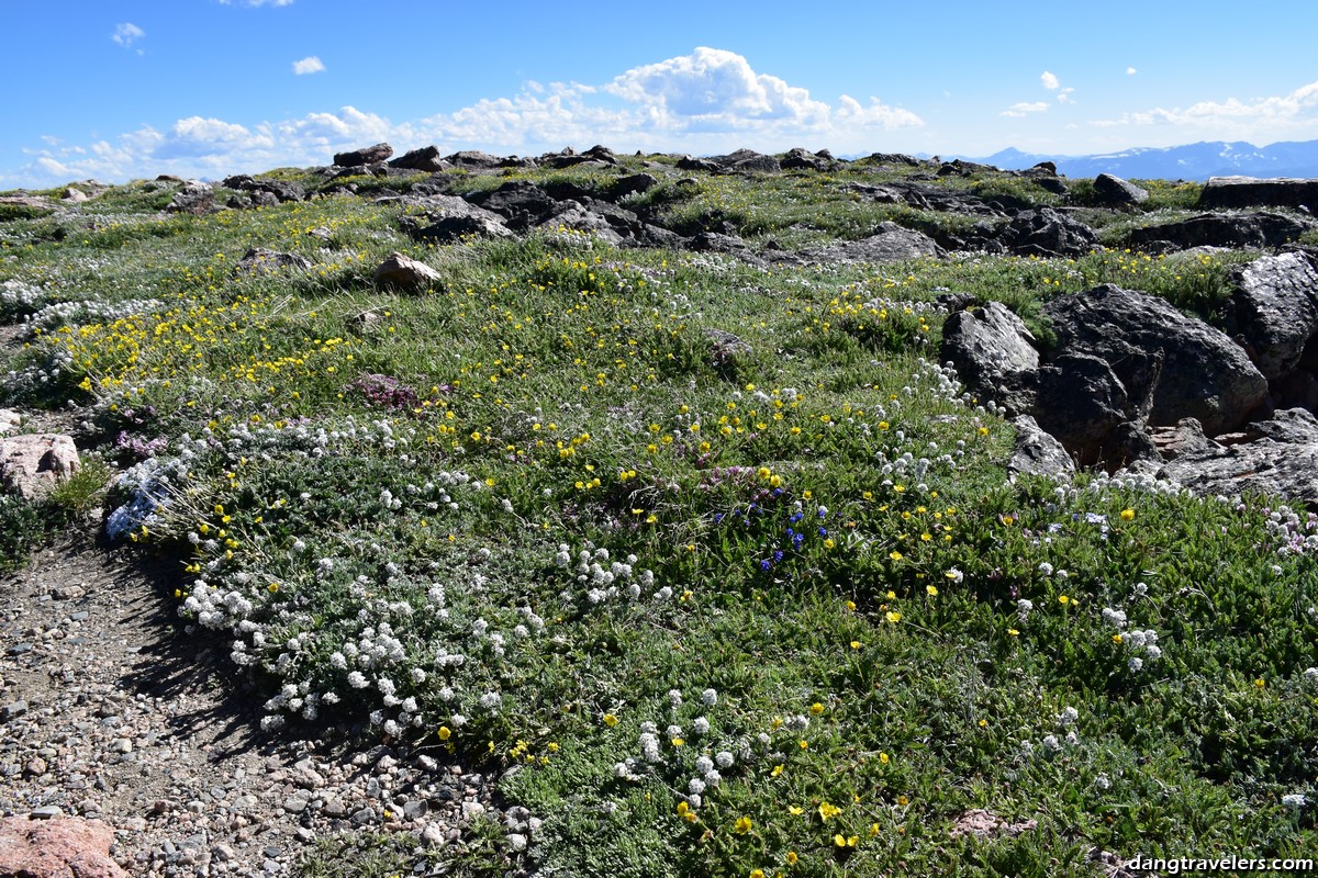 Northeast Yellowstone