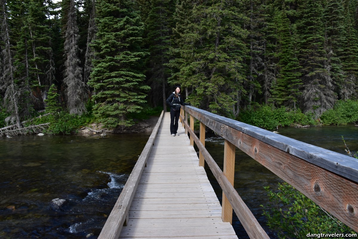 Grinnell Glacier Trail 2