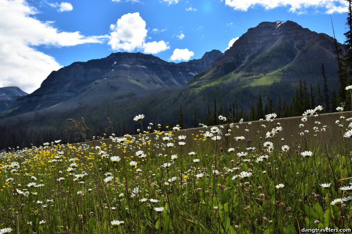 Side Trip from Banff National Park