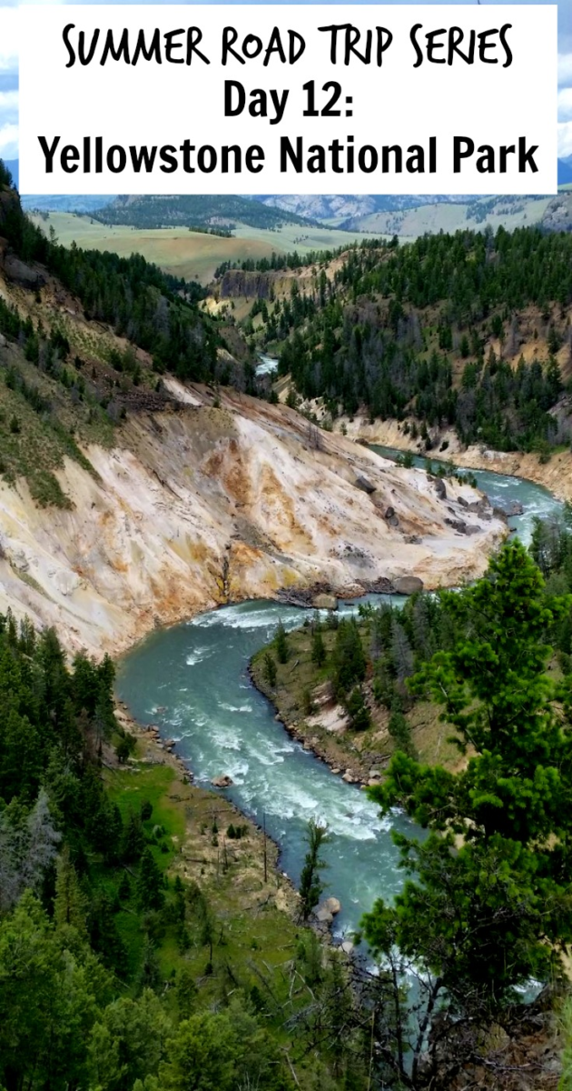 Northeast Yellowstone Pin