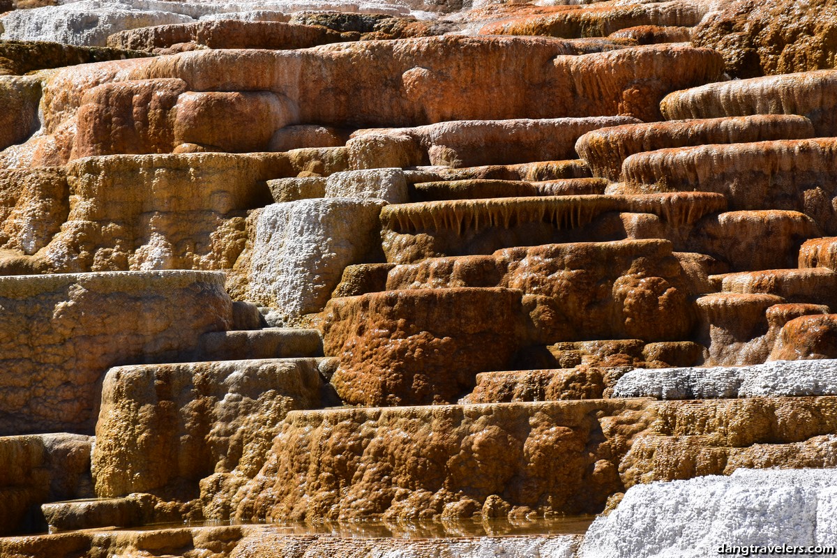 Mammoth Hot Springs