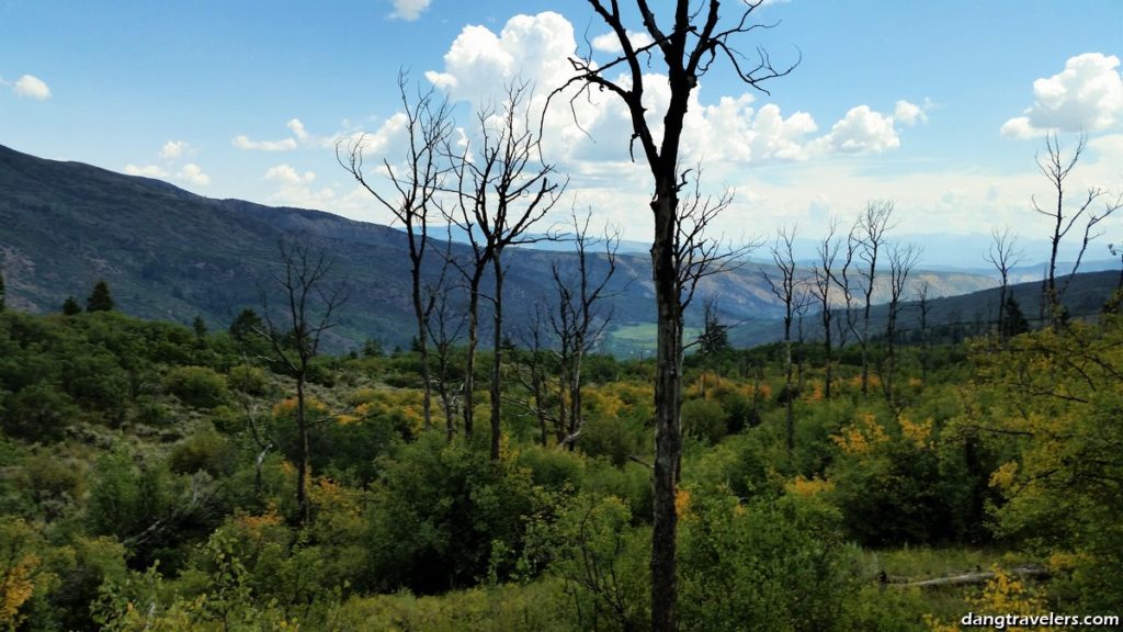 Summer Colorado Fun