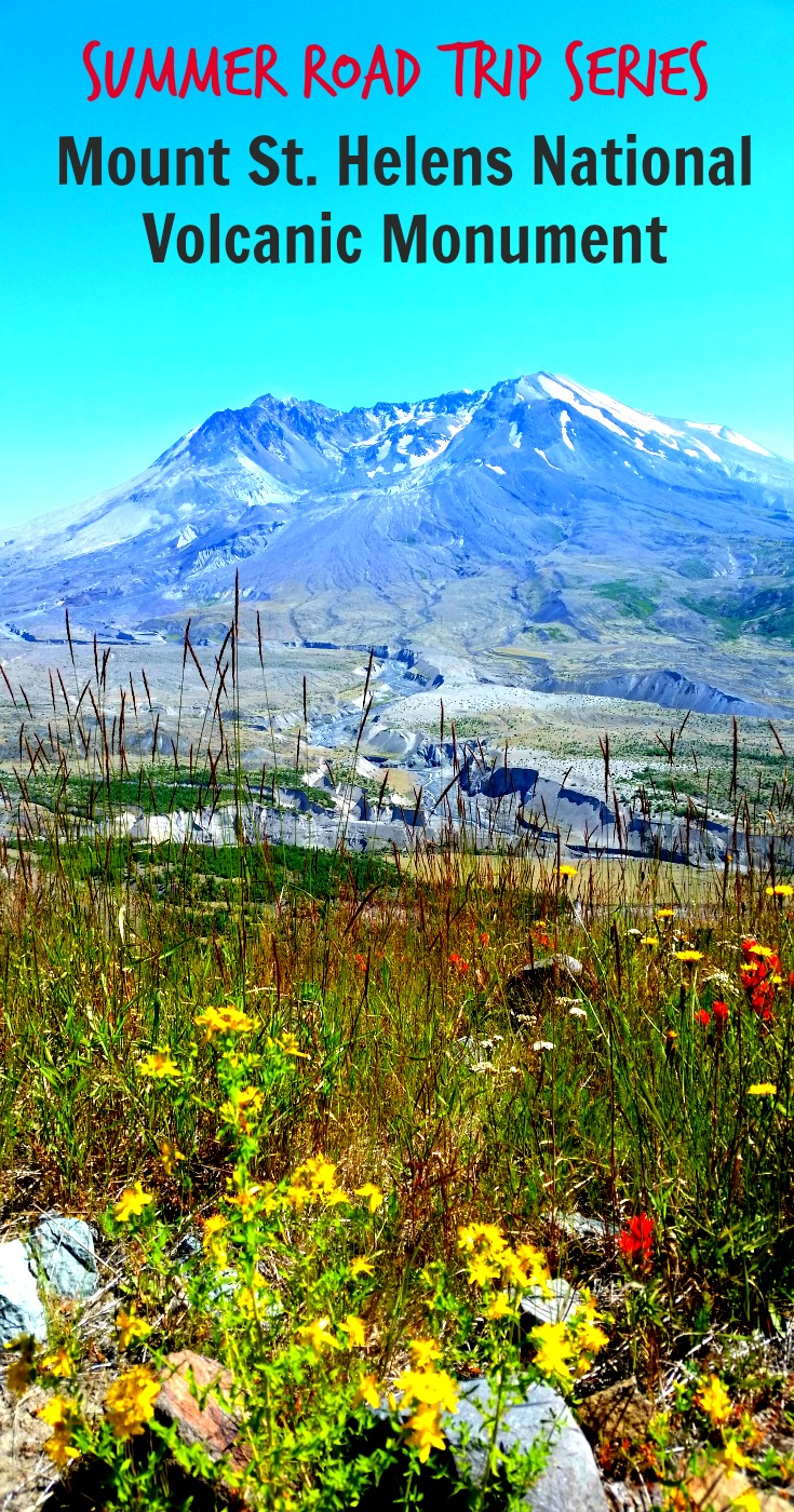 Mount St. Helens Pin